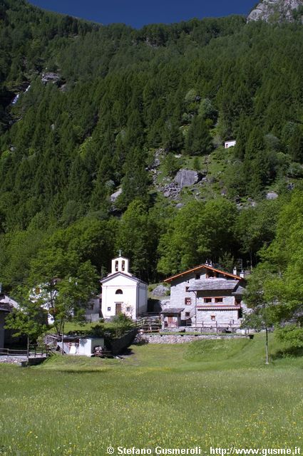  Vho e pineta - click to next image