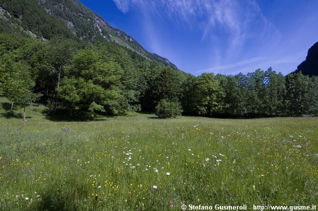  Prati presso Vho - click to next image