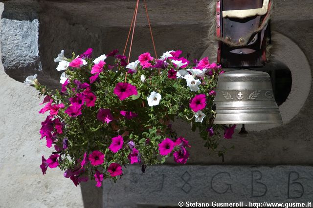  Petunie e campanaccio - click to next image