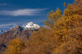 20101105_111103 Monte Mater e boschi autunnali
