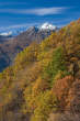 20101105_111832 Monte Mater e boschi autunnali
