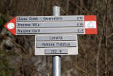 20080313_161751 Cartelli