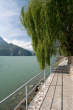 20100819_161607 Passeggiata lungo il lago di Mezzola
