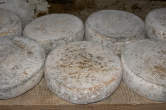 20120801_105903 Forme di formaggio di capra