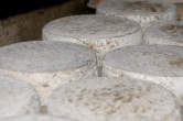 20120801_110013 Forme di formaggio