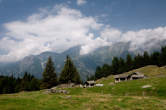 20120801_131319 Foppate