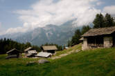 20120801_131520 Foppate