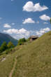 20110508_121000 Somasaccia