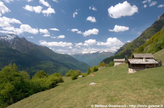  Somasaccia - click to next image