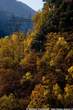 20051030_132225 Linee AT