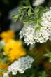 20130416_133405