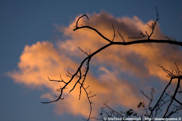  Rami spogli al tramonto - click to next image
