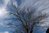 20130415_162536 Rami e cielo