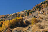 20091101_112757 Pascoli in val Febbraro