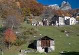 20101105_123702 Dasile autunnale